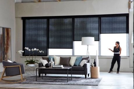 window blinds