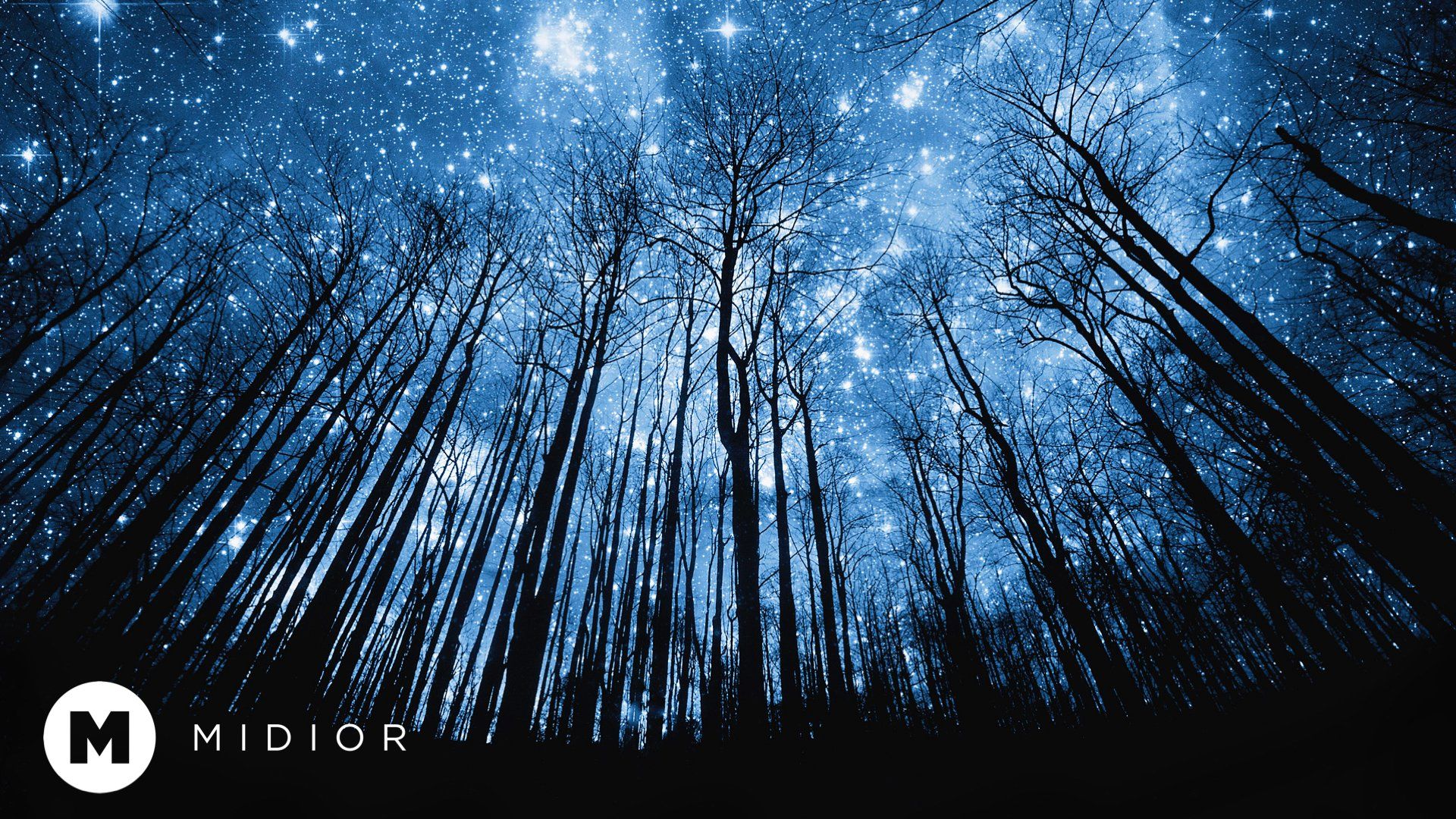 MIDIOR Trees