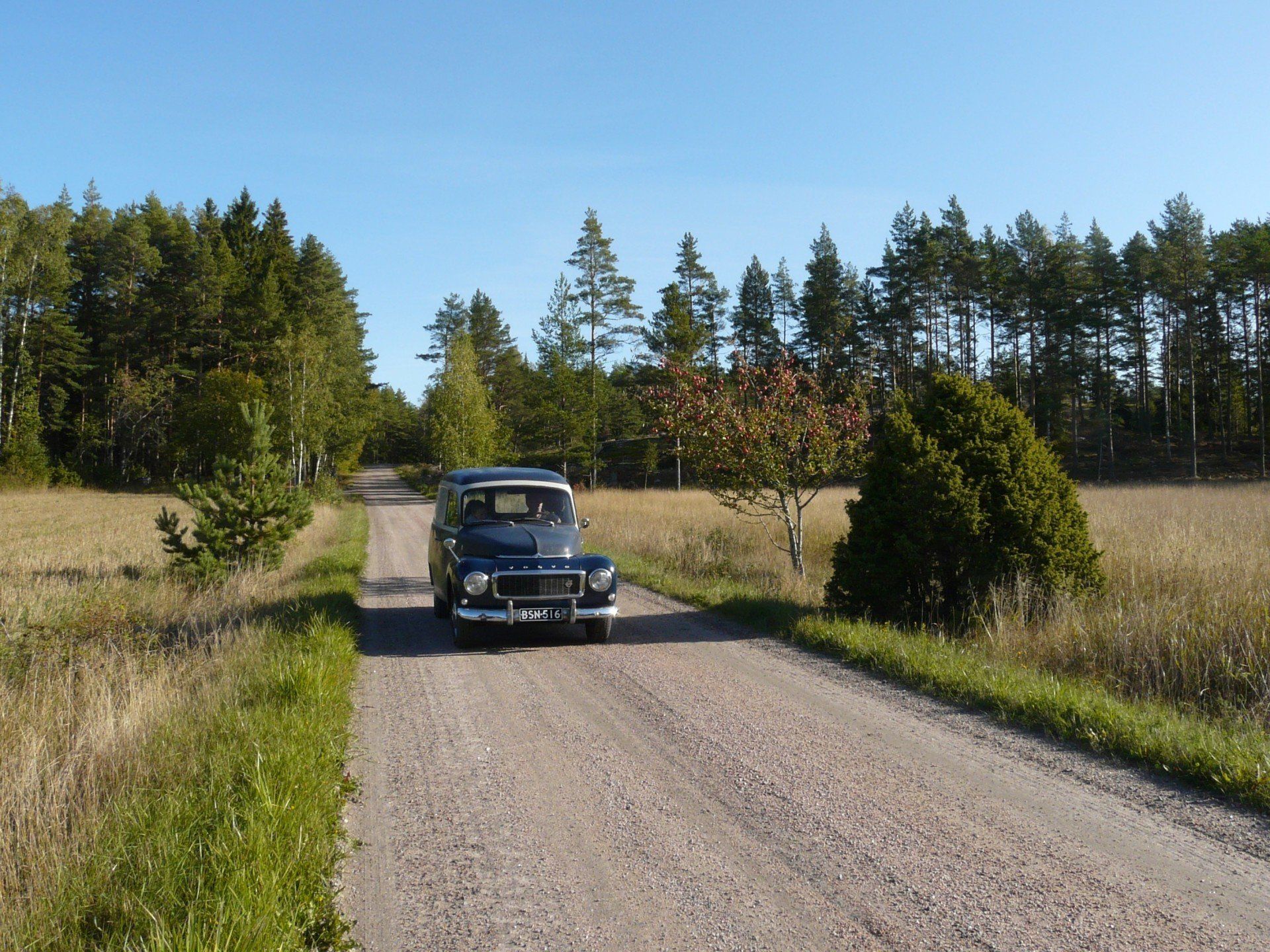 Volvo Duett