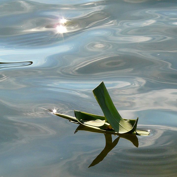water,