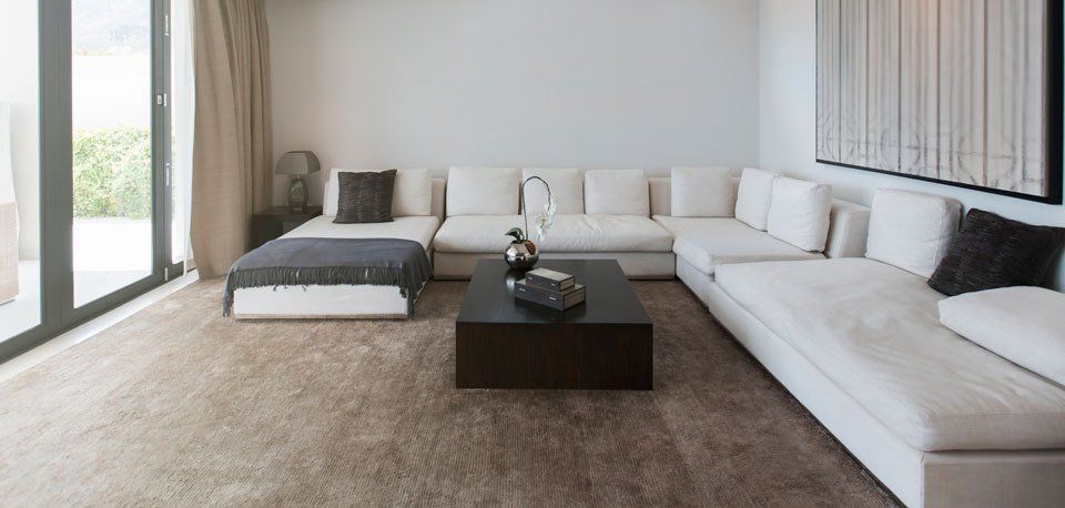 Carpet cleaning