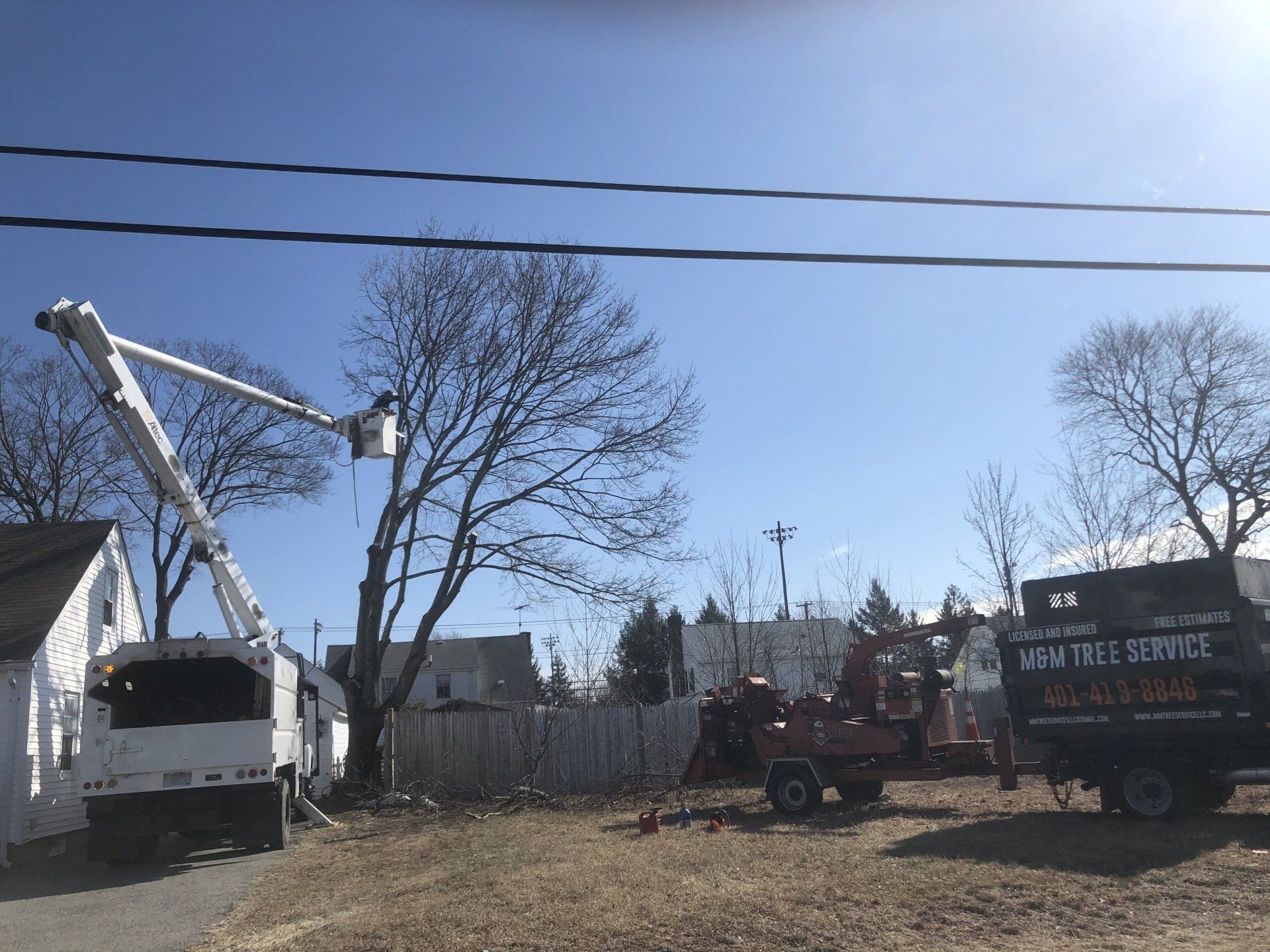 M&M Tree service truck and a worker doing a tree trimming job