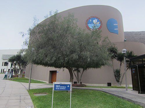 poda de arboles