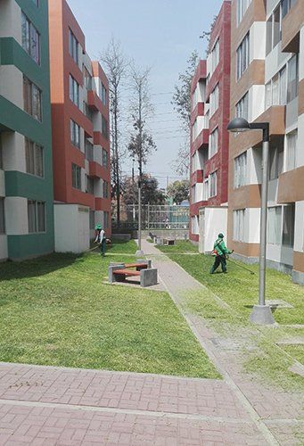 mantenimiento de plantas