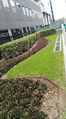 empresa de paisajismo