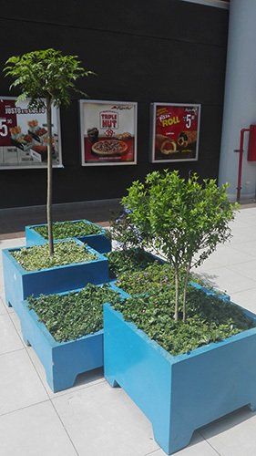  mantenimiento de arboles