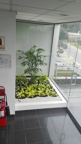  jardineros en san isidro Peru