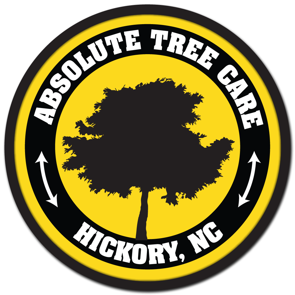 Absolute Tree Care of Hickory LLC