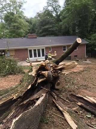 Chainsaw Carving — Chainsaw Tree Carving In Hickory, NC