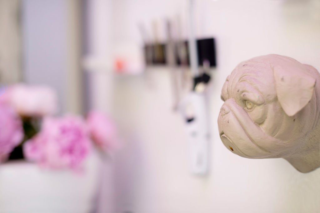 Nahaufnahme einer faltigen Mops-Statue vor einem sanft verschwommenen, hellen Hintergrund mit rosa Blumen.