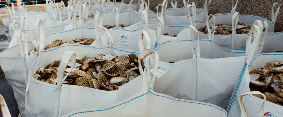 bags
