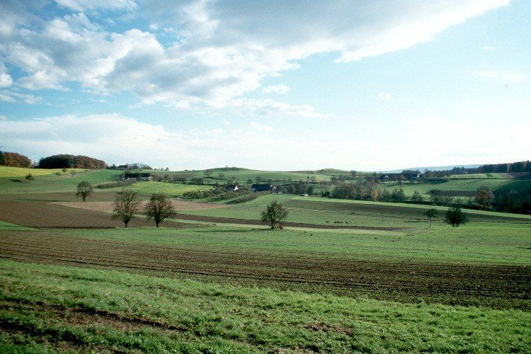 Grüne Felder mit vereinzelten Bäumen unter blauem Himmel mit Wolken.