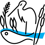 Logo des ILN Südwest. Ein Vogel steht im Wasser zwischen Fischen, Schilf und Rohrkolben, dargestellt in schwarzen Linien.