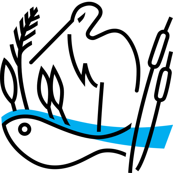 Logo des ILN Südwest. Ein Vogel steht im Wasser zwischen Fischen, Schilf und Rohrkolben, dargestellt in schwarzen Linien.