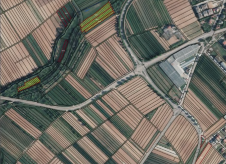 Luftaufnahme von landwirtschaftlichen Feldern, Straßen und Gebäuden. Mehrere Felder sind gelb hervorgehoben.