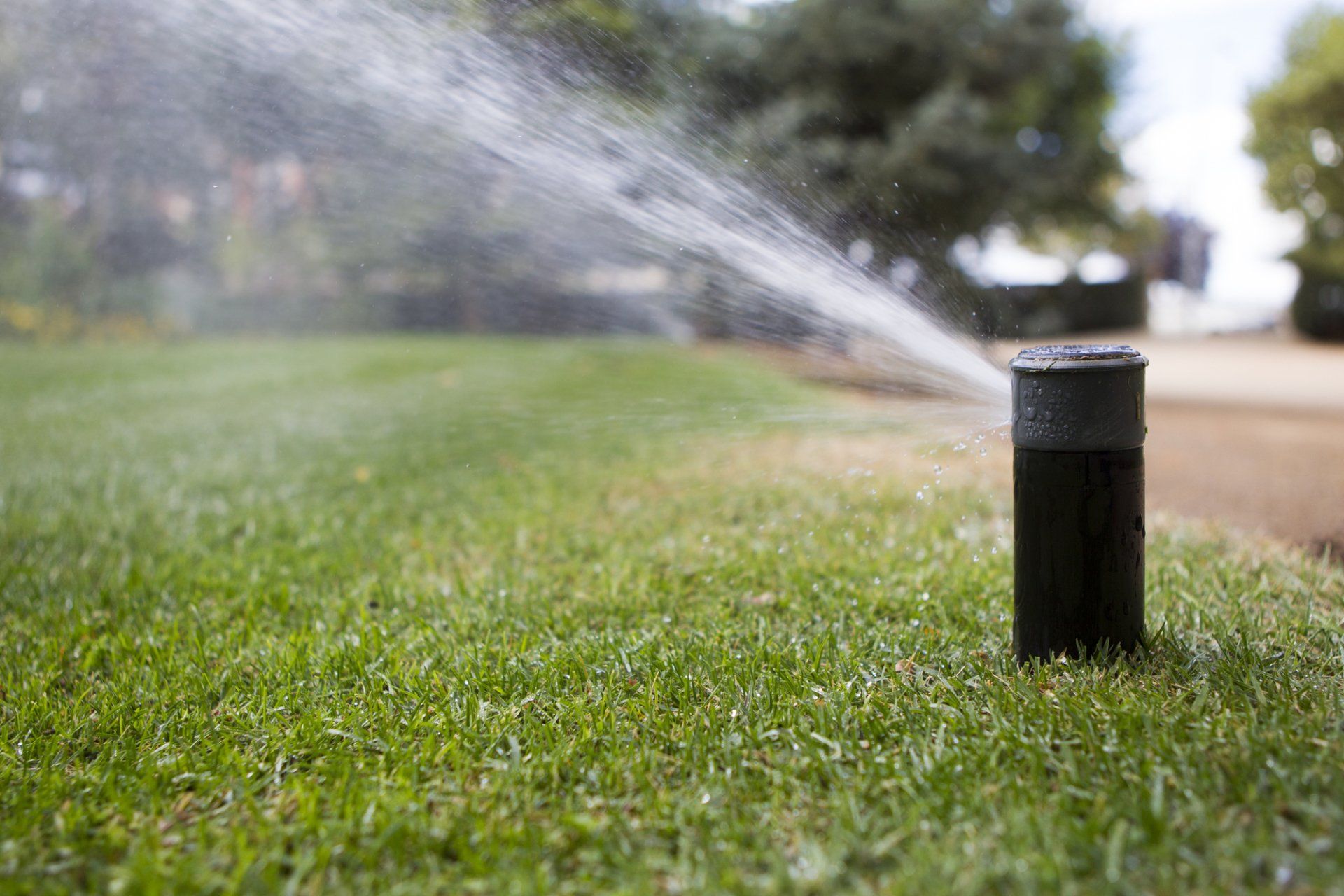 Sprinkler Install in Trementon, UT