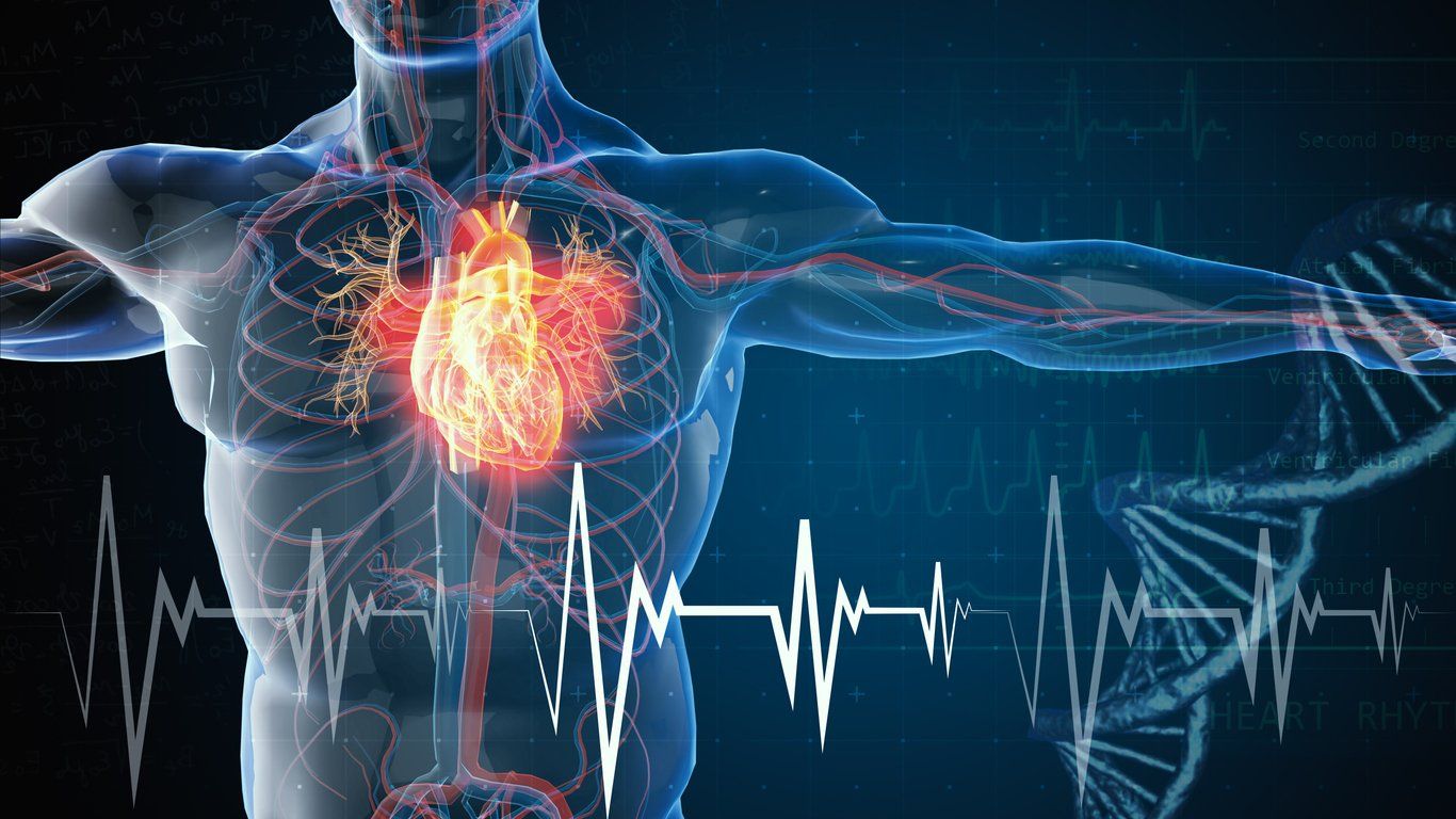 A computer generated image of a man 's heart with a heartbeat.