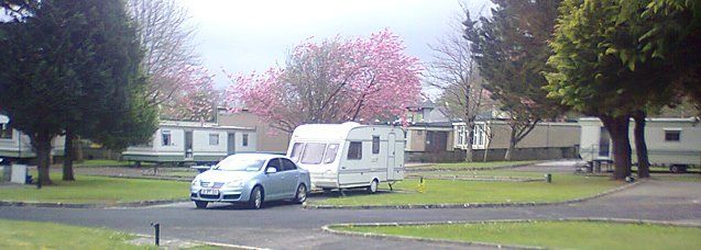 Beech Grove Killarney CampingNI