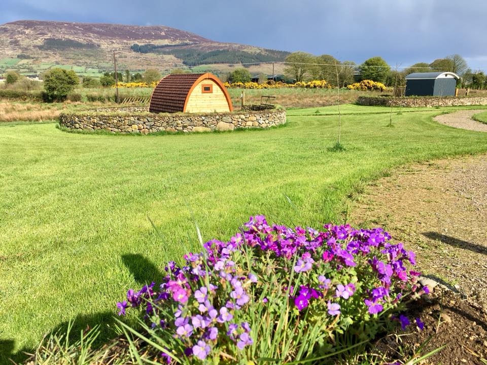 Bluebell Lane Glamping CampingNI