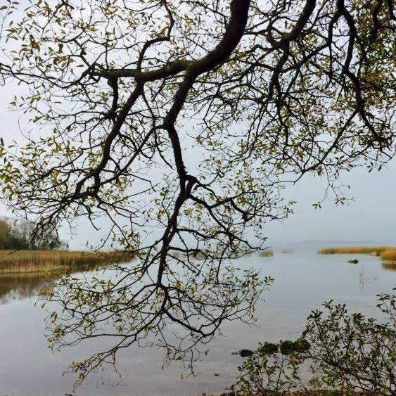 Lough Ennell CampingNI