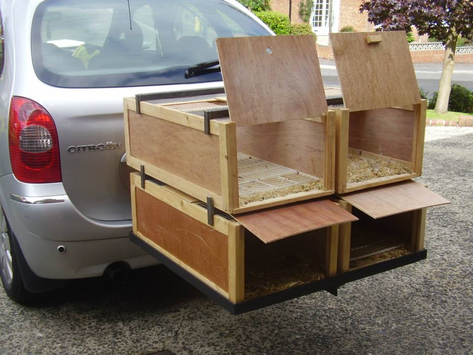 pigeons box carrier
