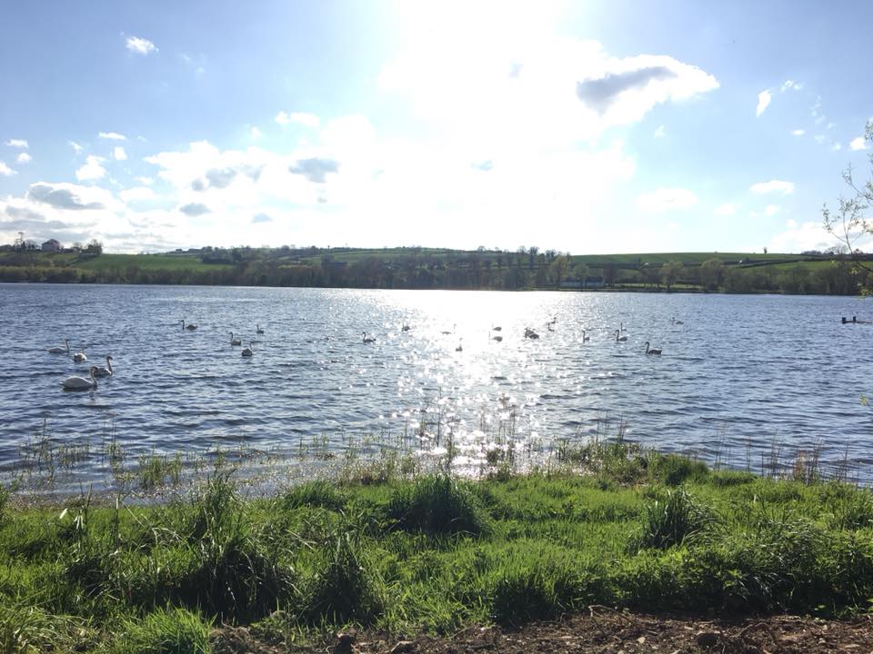 Camping club card review