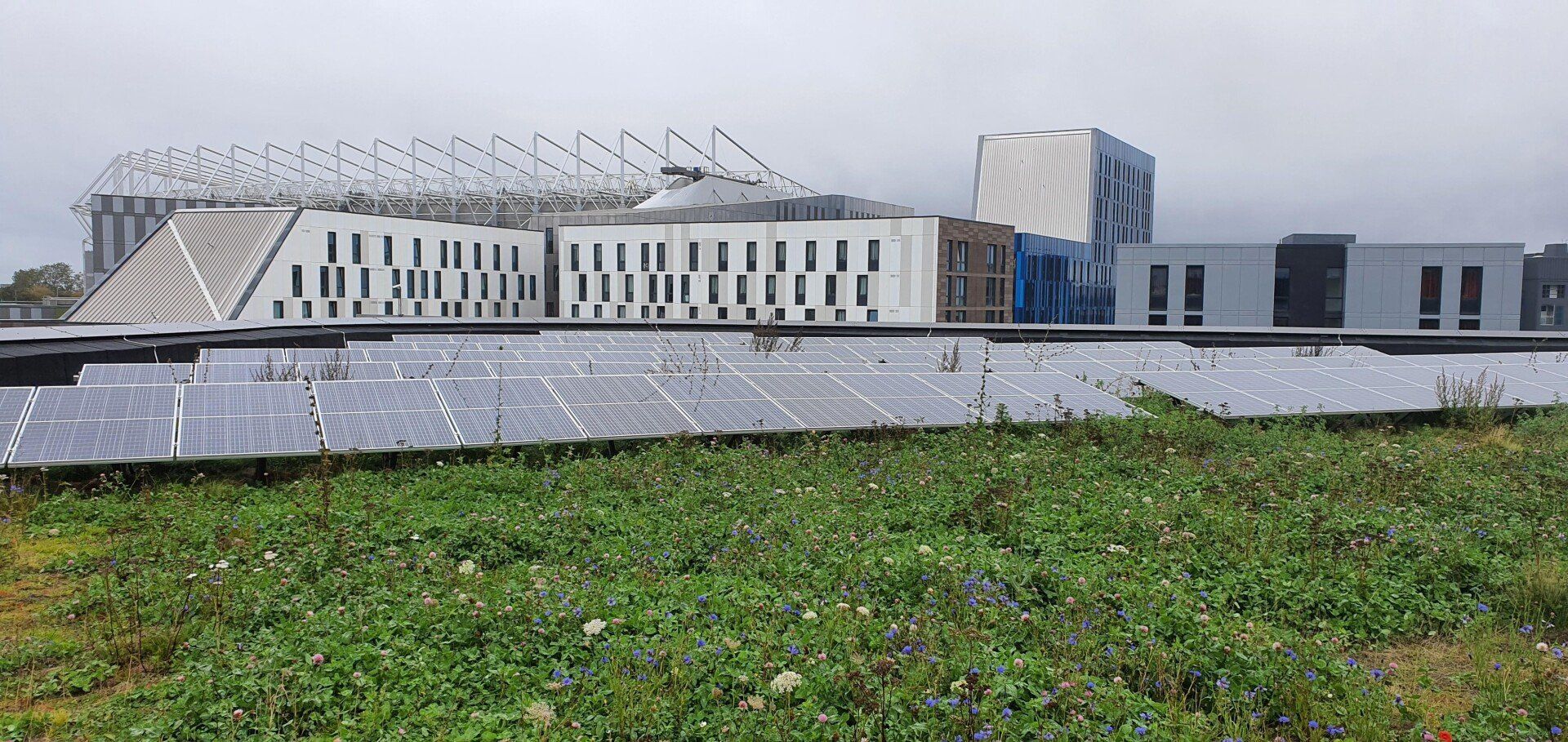 bauder biosolar install newcastle