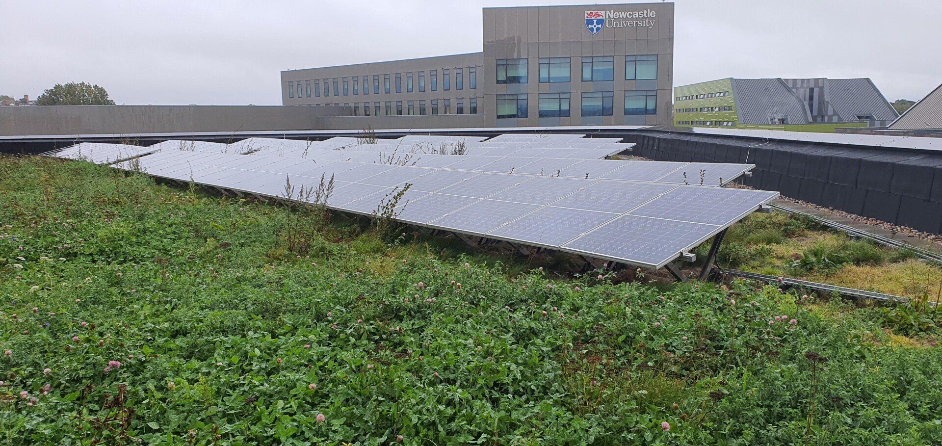 newcastle bio diverse bauder solar install