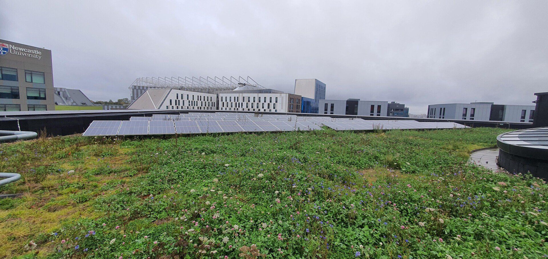 biodiverse solar install newcastle