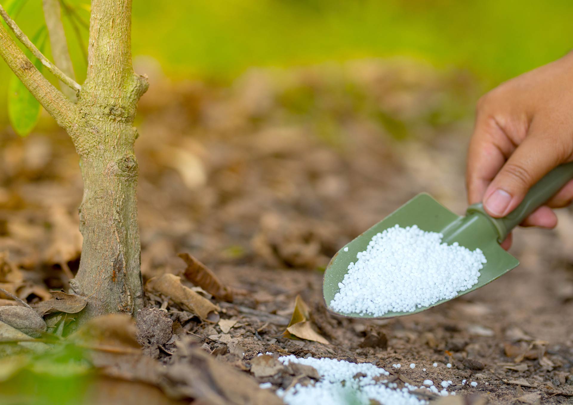 Adding Fertilizer in Plant — Wilmington, NC — Paul Bunyan’s Tree Service
