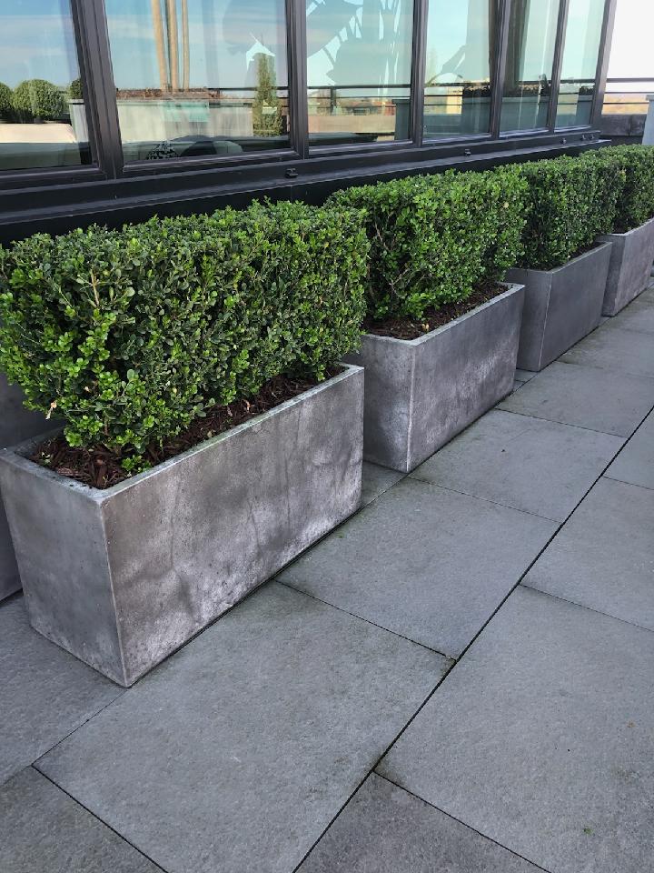 a row of planters filled with green plants on a sidewalk