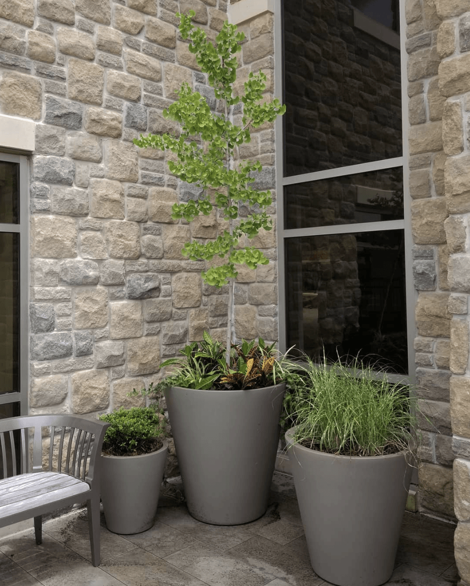 three potted plants are sitting in front of a stone wall