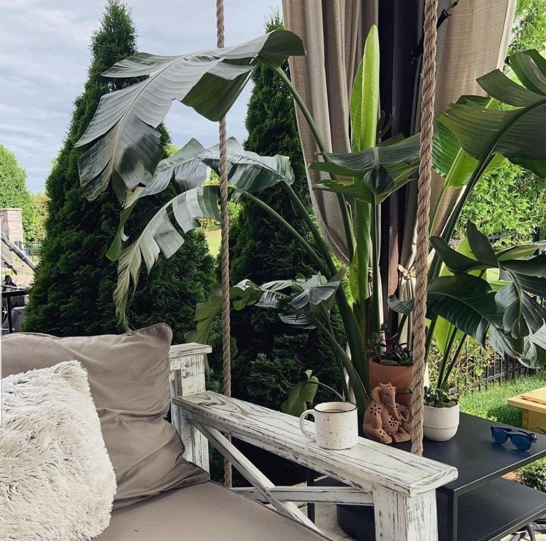 a patio with a couch and a table with plants on it
