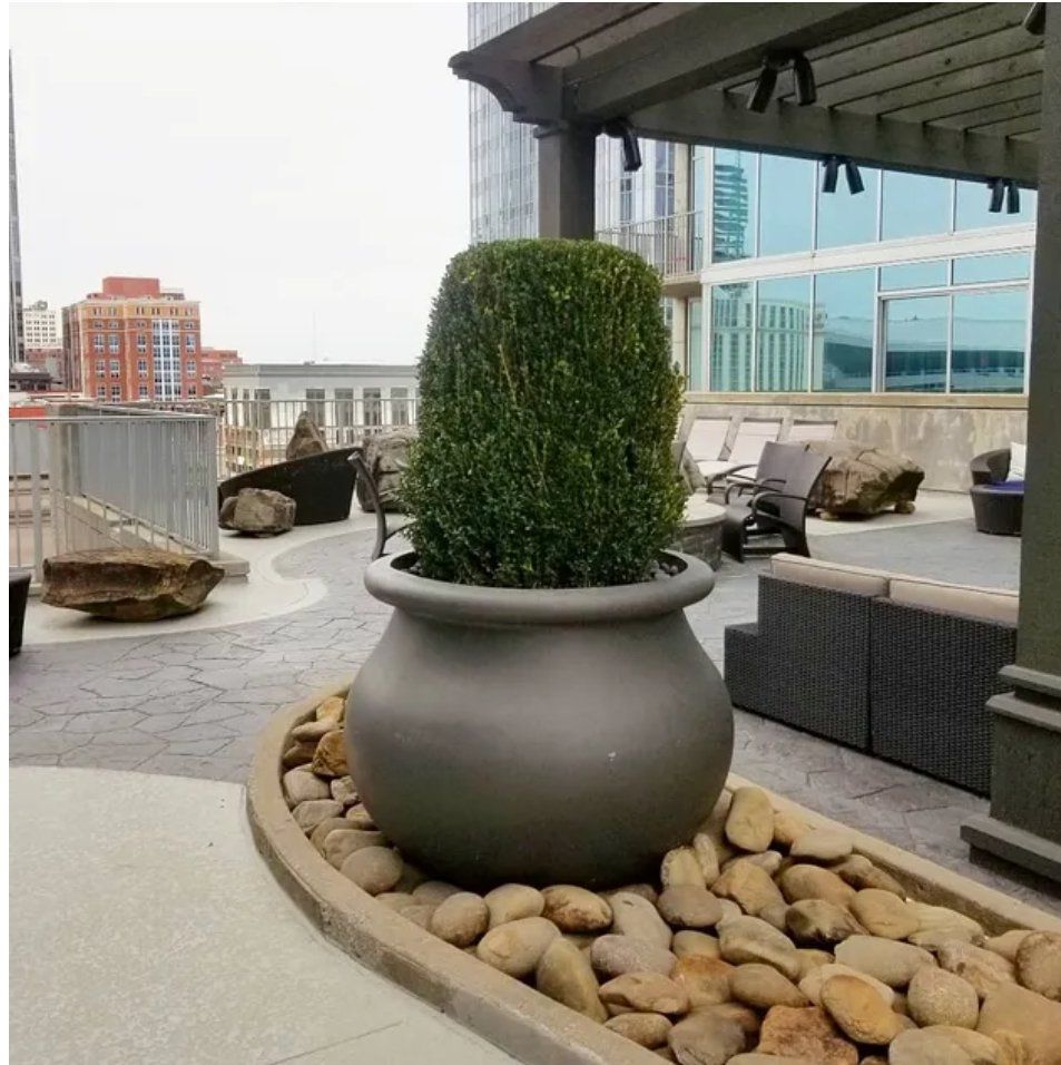 a potted plant is surrounded by rocks on a patio