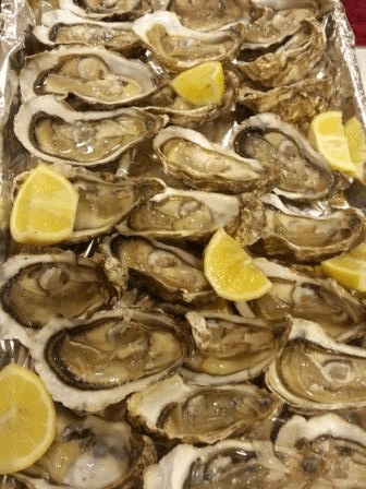 Ostriche