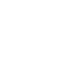 SF COMPANIES LLC