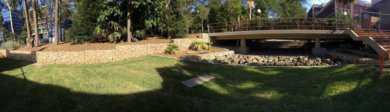 property with grass and deck