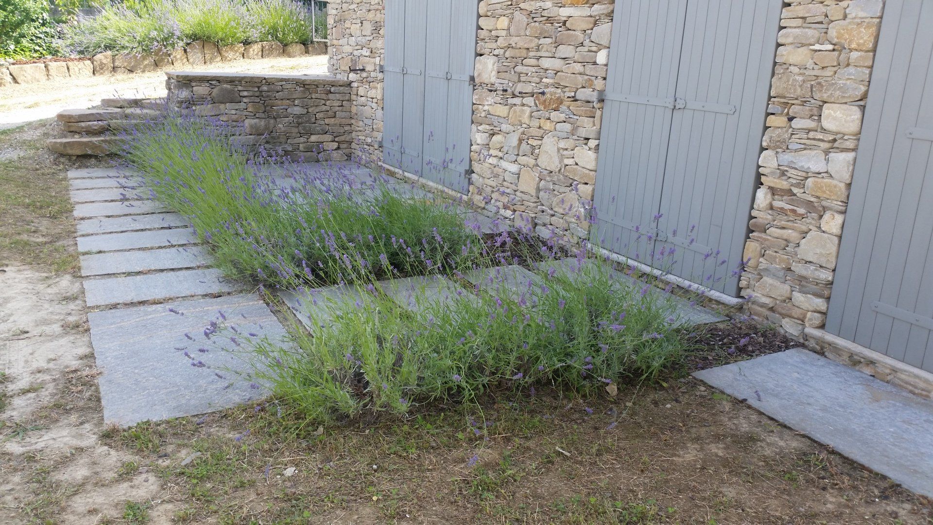 PIETRA DI LUSERNA E LAVANDE