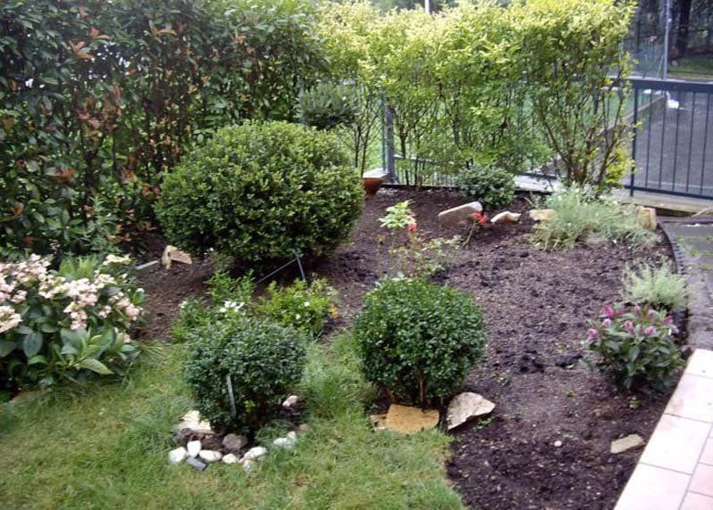 giardino con arbusti