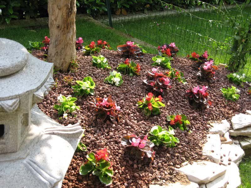 aiuola e giardino