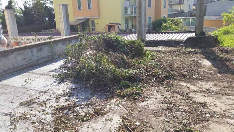 pulizia di giardini dai rovi