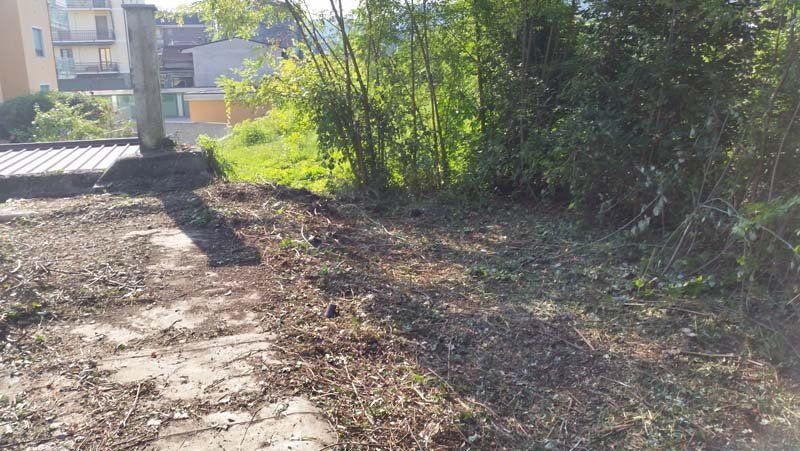 pulizia di giardini dai rovi