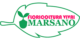 http://www.vivaimarsanopaolo.it vivaio piante