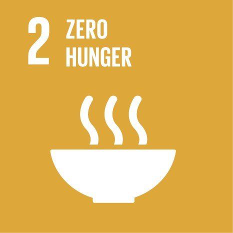 Sustainable Development Goal Zero Hunger