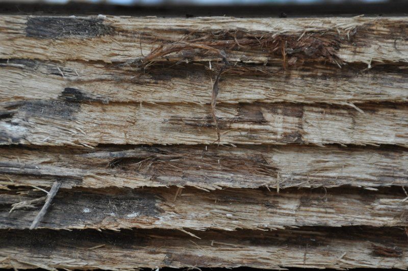 Matière première bois