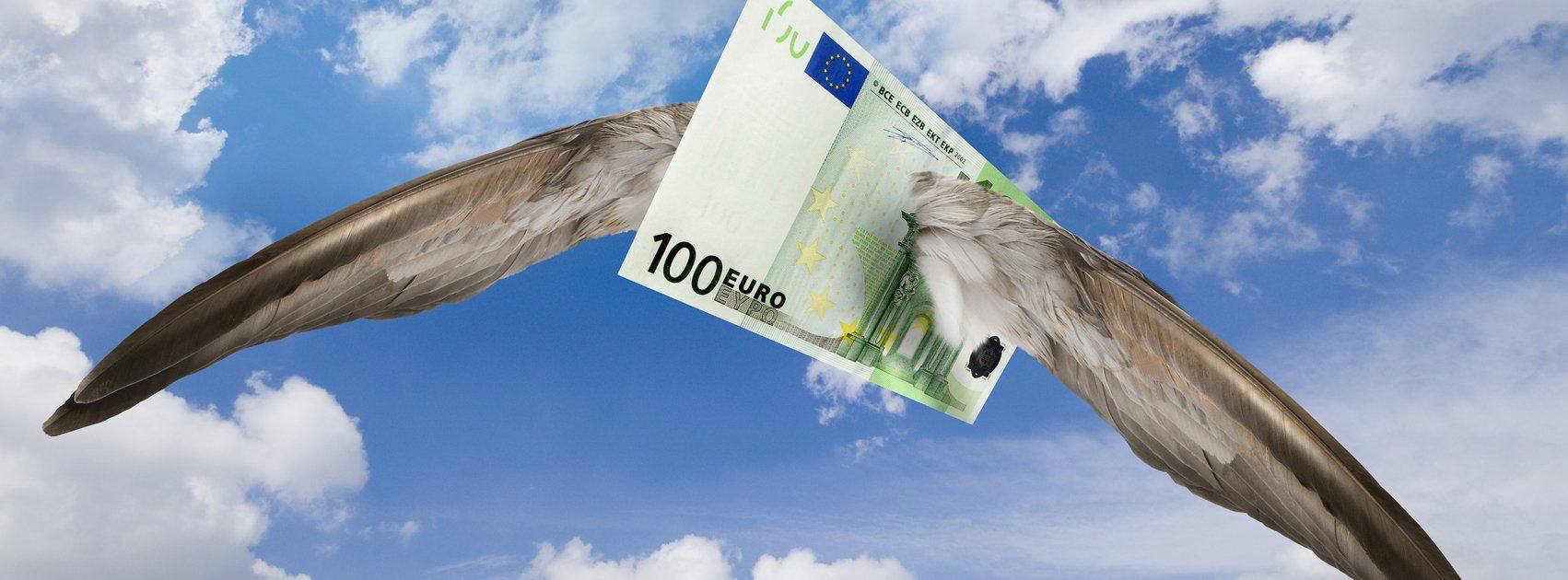 Het Mediators Collectief helpt ook in nalatenschapssituaties: 085-1307476 100 euro biljet met vleugels