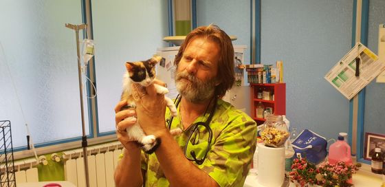 cure veterinarie
