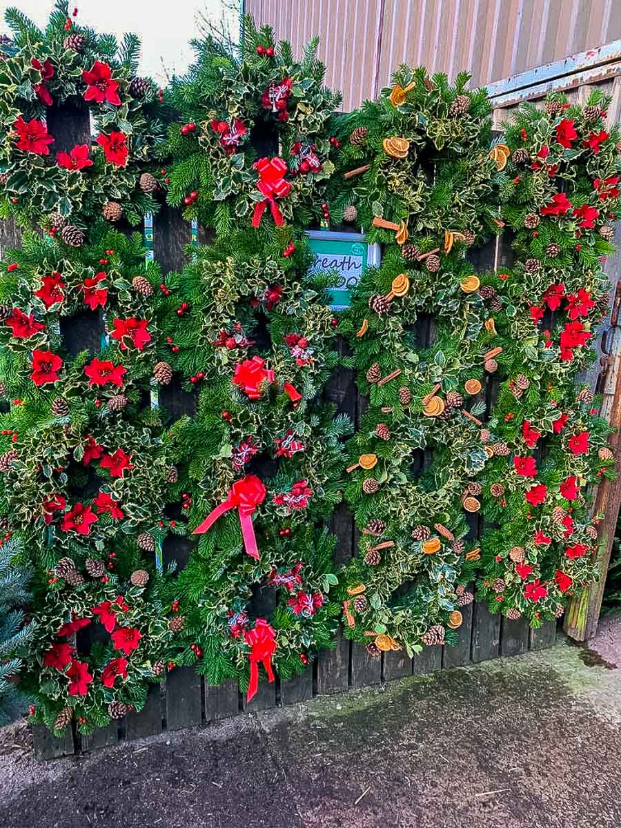 Christmas wreaths for sale at Greenhill Nursery Perthshire