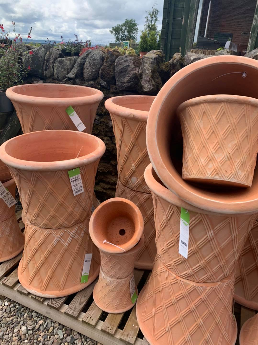 Terracotta pots for sale at Greenhill Garden nursery Perthshire