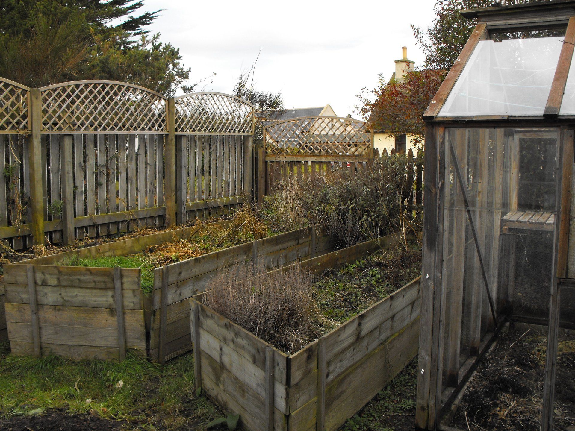 fence